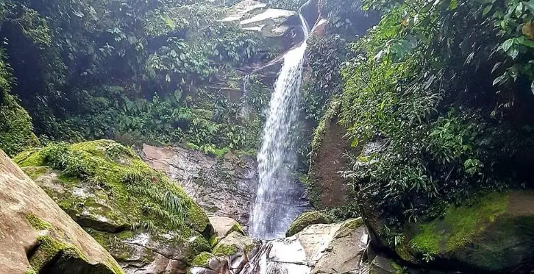 Catarata de Sabaloyacu