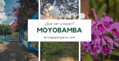 moyobamba peru