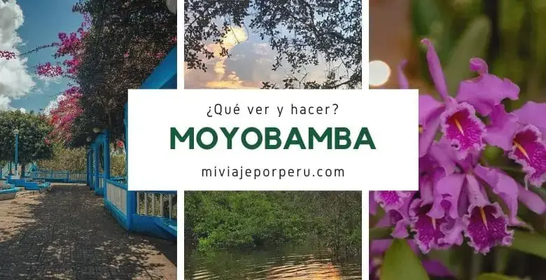 ᐈ Moyobamba 【 Guía de Viaje 2023 】 ¿Qué Ver y Hacer?