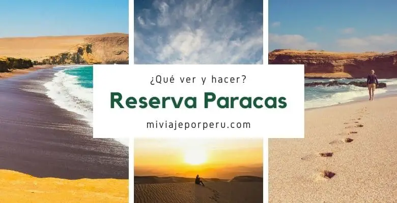 reserva nacional de paracas