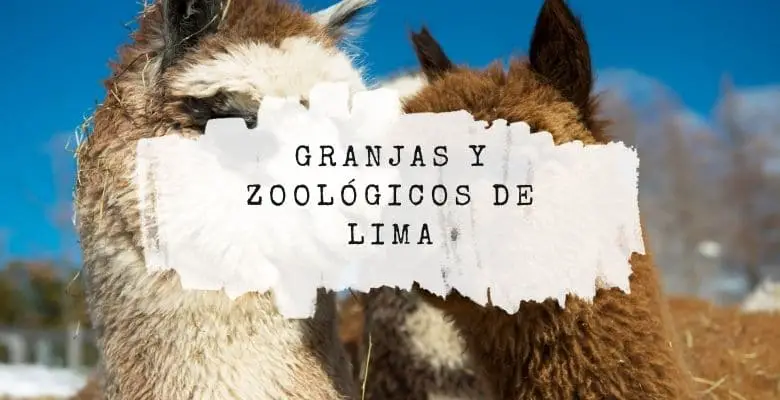 Zoológicos de Lima